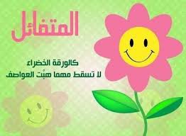 استراتيجيه ذاتيه للتحرر من براثن الاكتئاب Z